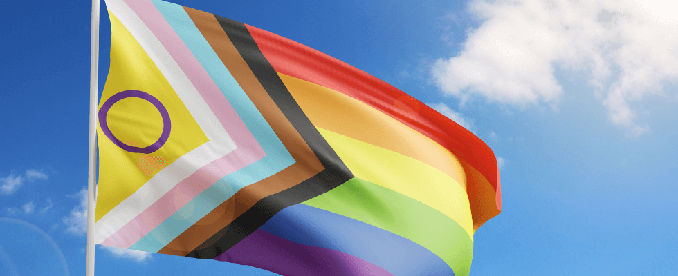 Supporting LGBTQ+ Victims and Survivors of Sexual Violence